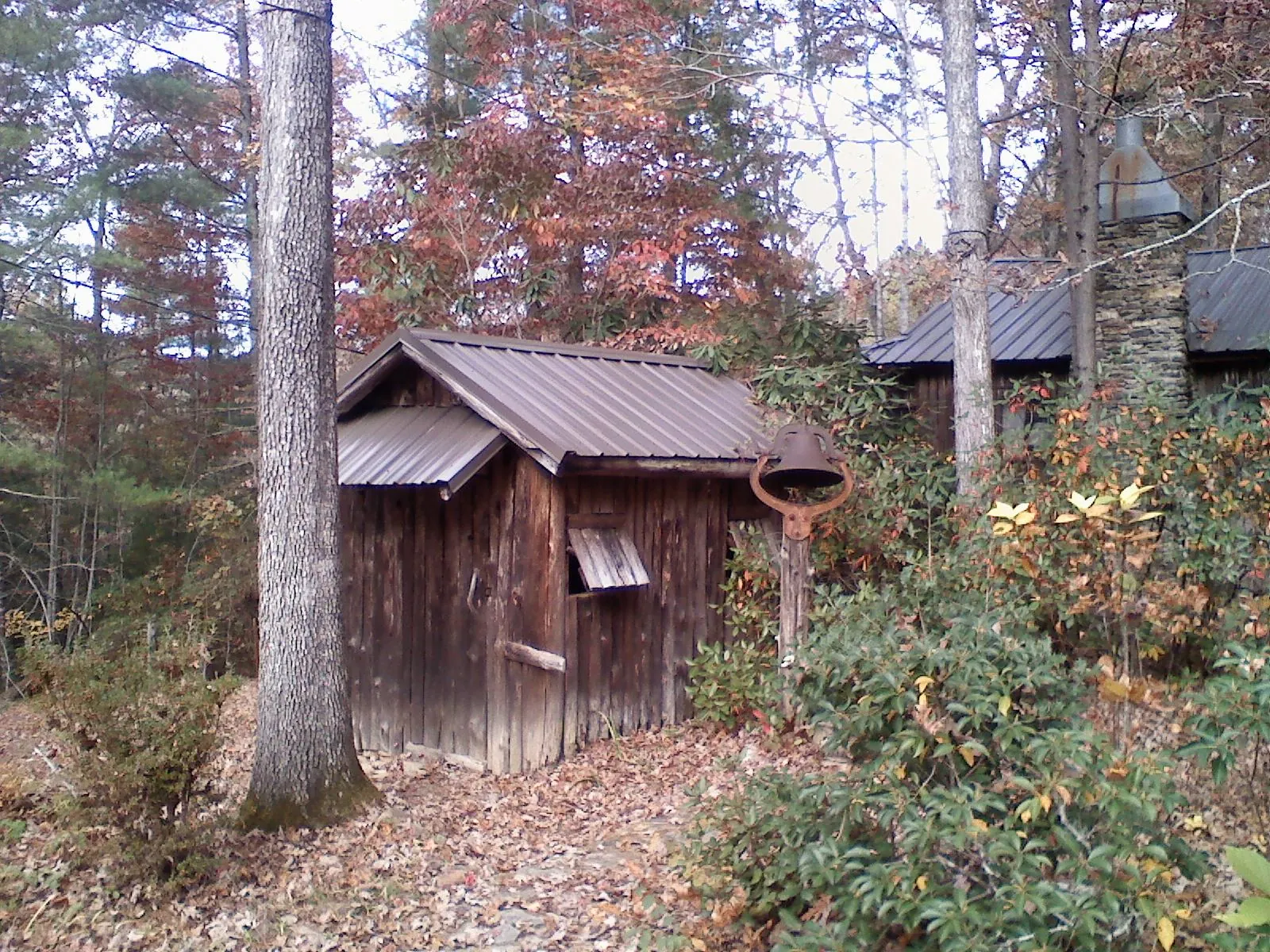 Small metal roof on a rough sawn shed in the woods in Swanton